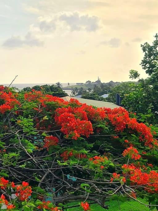 Juju'S Cottage With Magnificent Views Laborie Ngoại thất bức ảnh